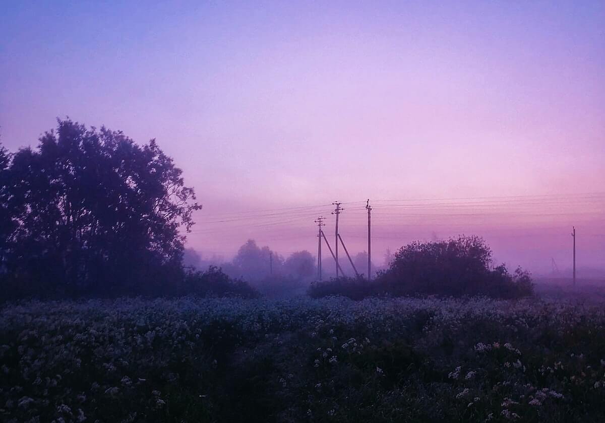 【独家】pixiv盘点：pzhan10个惊人真相，大V上榜理由彻底令人引发联想