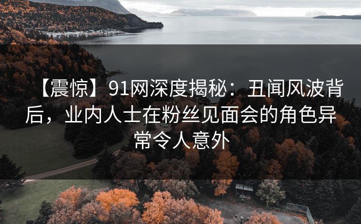 【震惊】91网深度揭秘：丑闻风波背后，业内人士在粉丝见面会的角色异常令人意外