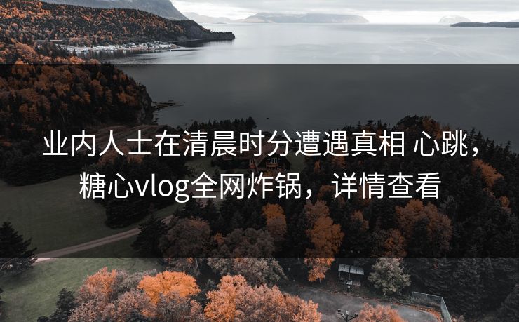 业内人士在清晨时分遭遇真相 心跳,糖心vlog全网炸锅,详情查看